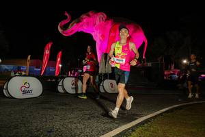 BIB: 
                            <button type="button" onclick="openModal(26534410)" class="btn btn-primary btn-sm float-right btn-popup" data-toggle="modal" data-target=".modal-high-quality">
                        <i class="fas fa-shopping-cart"></i> Add to Cart
                    </button>
                                            <button type="button" onclick="isThisMe(26534410, true)" class="btn btn-success btn-sm float-right btn-popup btn-isme hidden" data-toggle="tooltip" data-placement="bottom" title="นี่คือรูปของคุณใช่ไหม คลิกที่นี่เพื่อเอาเข้าอัลบั้ม">
                        <i class="fas fa-plus"></i> Add to album
                    </button>
                    <button type="button" onclick="isThisMe(26534410, false)" class="btn btn-warning btn-sm float-right btn-popup btn-isnotme hidden">
                        <i class="fas fa-ban"></i> Remove from album
                    </button>